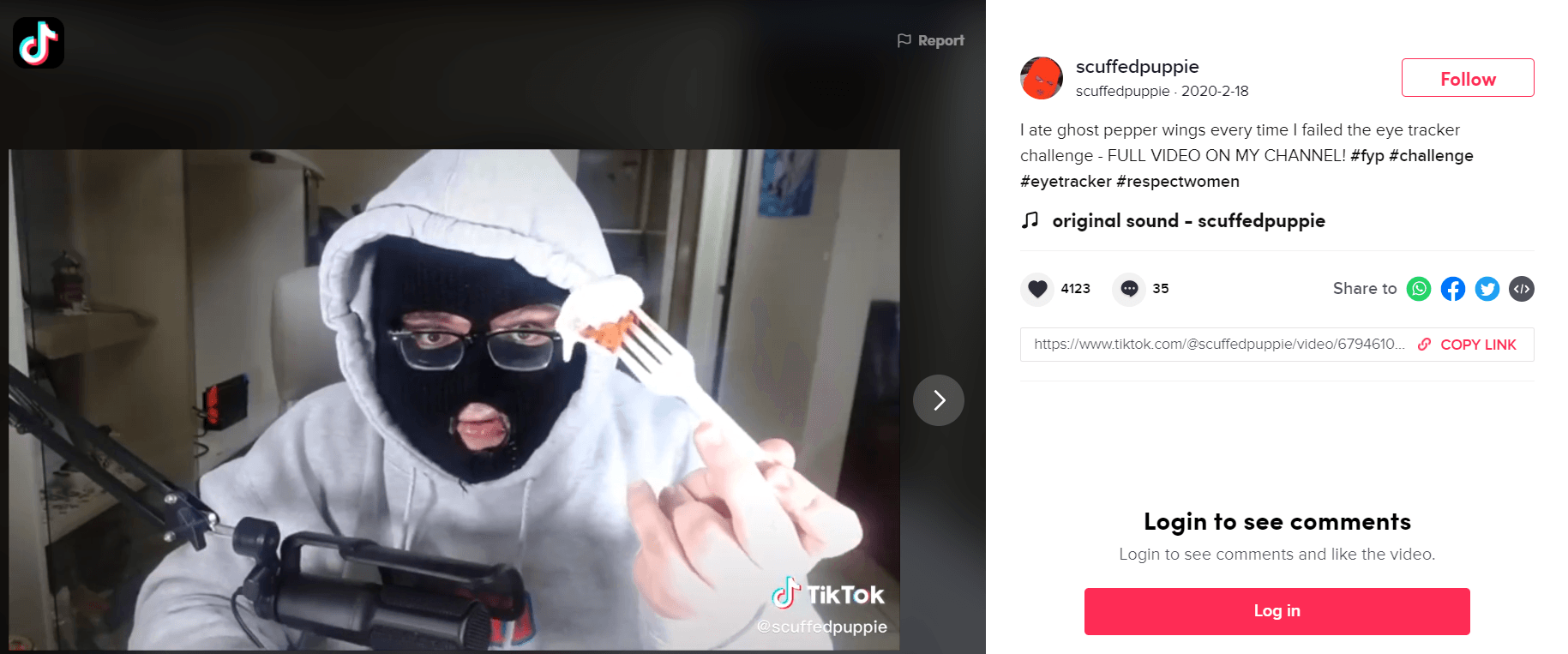 scuffedpuppie's eye tracking challenge on TikTok