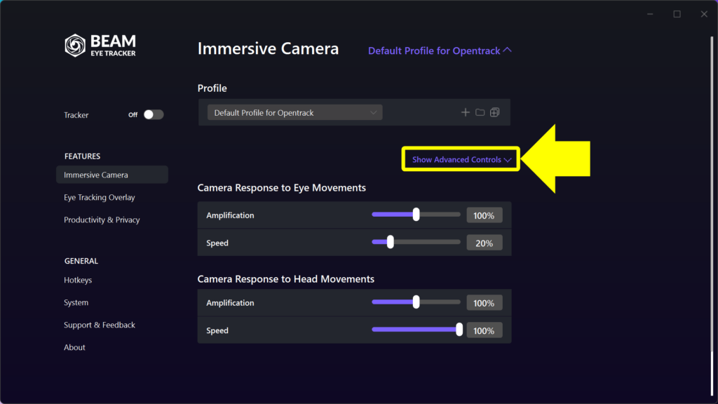 Immersive Camera - Show Advanced Controls